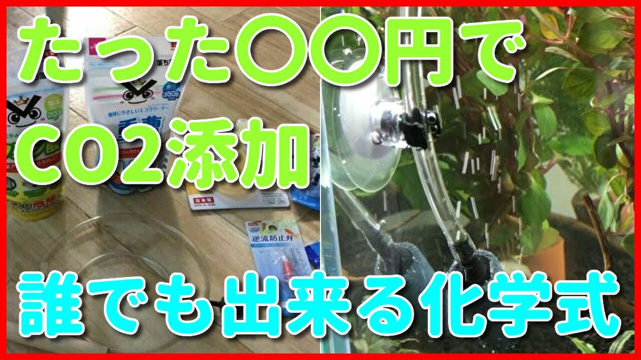 【水草】CO2を簡単に添加する方法【アクアリウム】