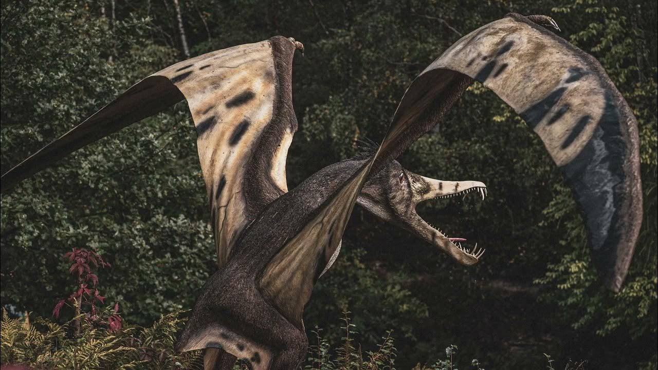 giant-wings-flapping-sound-effect-soundees-youtube