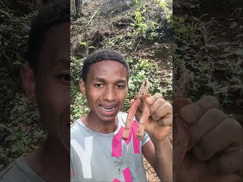 testando a cerca
