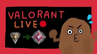 valolantイモになりたい芋がランク頑張る配信Vtuber