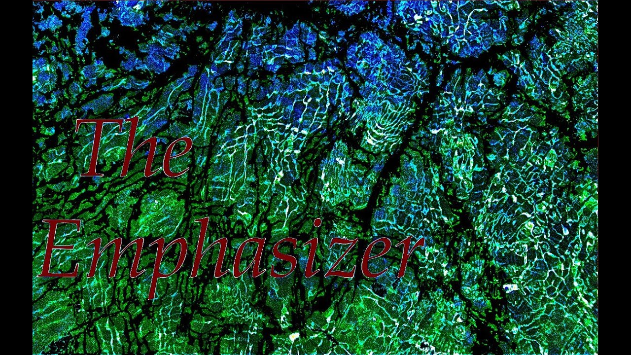 The Emphasizer - Holden Hill