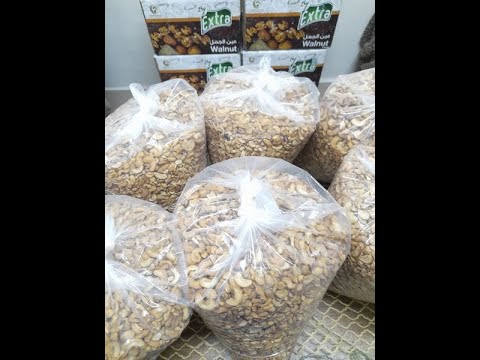 كسر الكاجو وكسر عين الجمل للجملة 2025