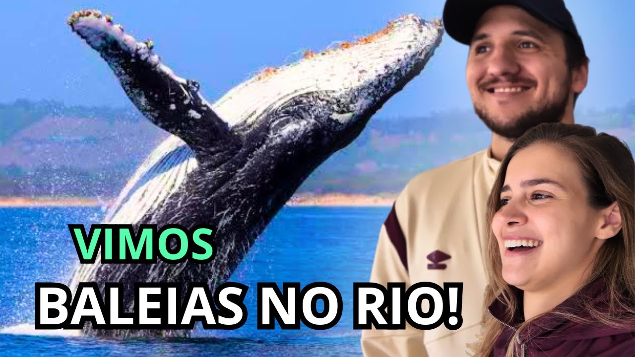 SAIL in RIO - Passeio para ver BALEIAS no RIO DE JANEIRO 🐋✨