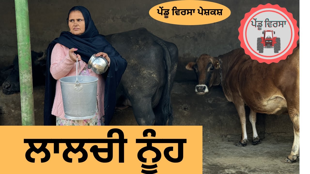 ਲਾਲਚੀ ਨੂੰਹ ep 146 | new punjabi movie 2023 | punjabi Natak | Sukhpal |@PenduVirsaMansa