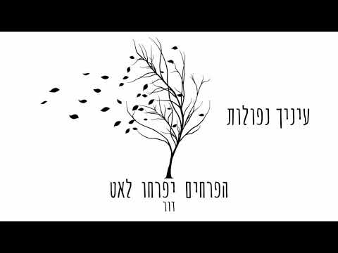 הפרחים יפרחו לאט - דור ששון
