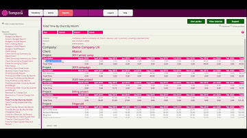 Tempora Timesheets - Introduction to reporting