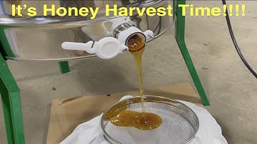 Layens Frames Centrifuged, Honey Harvest 2021!