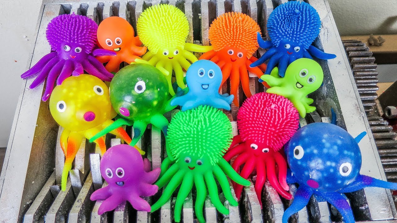 Shredding Octopus Babies!  Shredding crunchy things! What's Inside?