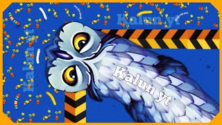 🐍WORMSZONE.IO | Giant Slither Snake Top 01 🏆 | Epic Worms Zone Biggest Snake Gameplay! | Kalun yt