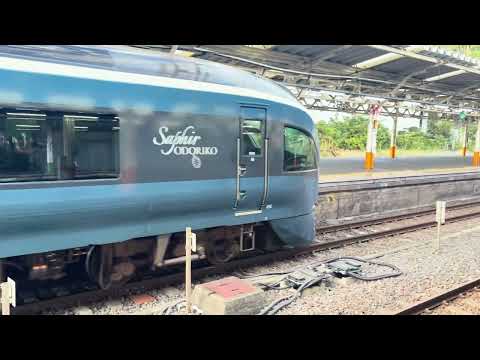 E261系RS1編成3002M特急サフィール踊り子2号東京行き熱海駅発車シーン