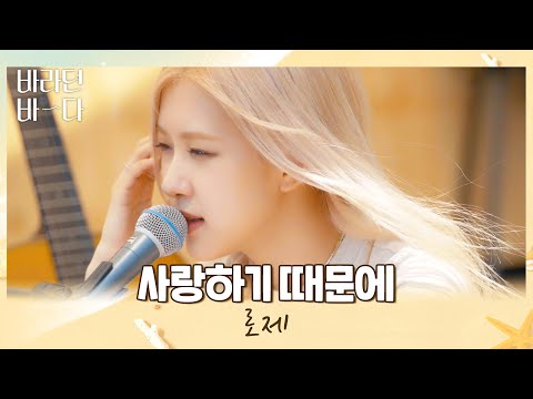 따사로운 햇살과 함께❣ 로제(ROSÉ)의 〈사랑하기 때문에(Because I Love You)〉♬ 바라던 바다(sea of hope) 3회 | JTBC 210713 방송