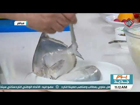 لماذا سمي السمك الزبيدي بهذا الاسم قناة الرشيد الشيف عرفان