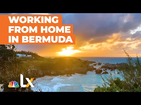 How to Work (Really) Remotely From a Tropical Island During the Pandemic | NBCLX