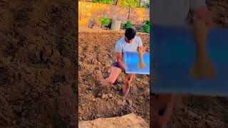 Digging a large deep pit hole in dry brown plantation soil using a heavy metal hand shovel outdoors
