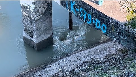 Amazing Big Water Vortex Experiment!? Best Whirlpool Hole vs Leaves.
