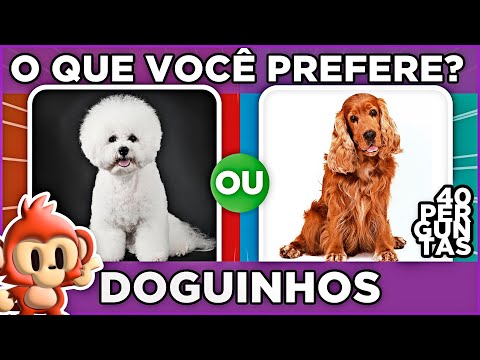 Vídeo: SNIFFBUSTERS: Você pode ensinar um cão velho novos truques?