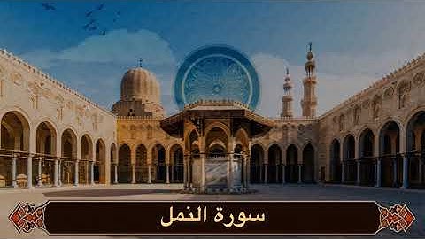 تلاوة بديعة لسورة النمل رمضان ١٤٤٦ هـ