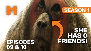 A Lonely Macaque Makes a Friend After Years of Isolation  | Season 1 Episodes 9 & 10 | Full Episodes