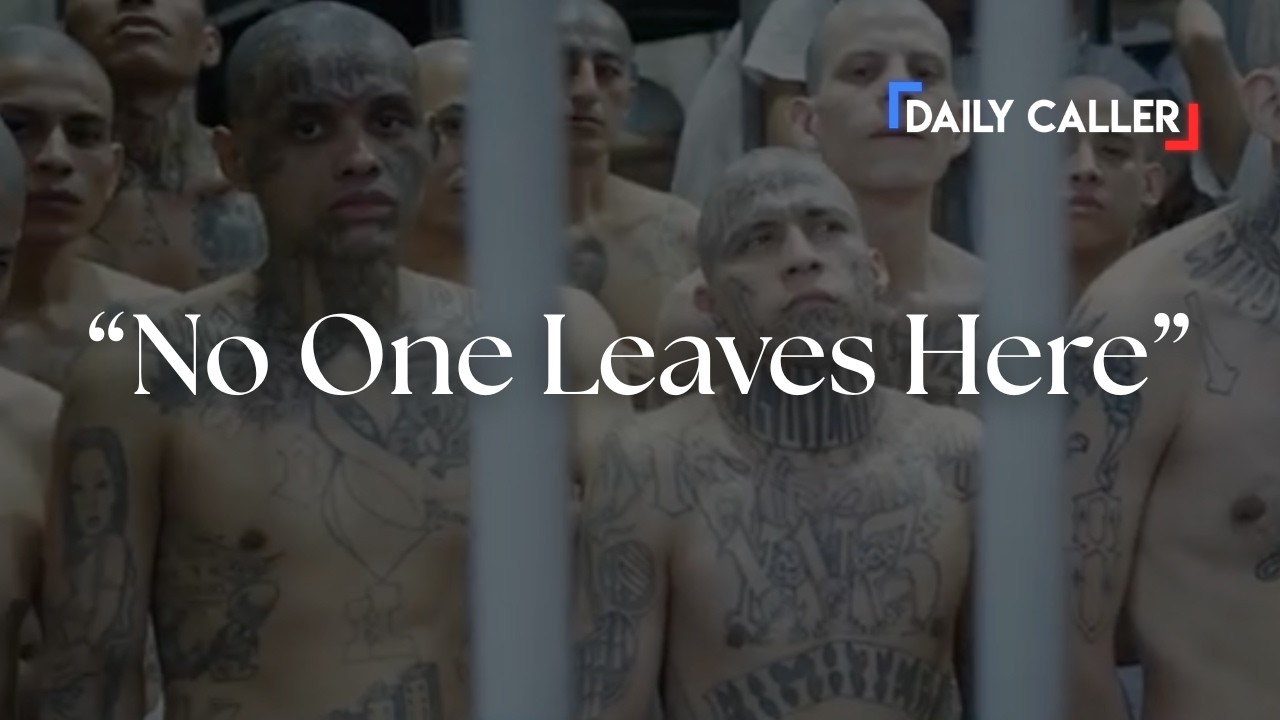 INSIDE CECOT: MS-13 Member Admitted to Killing Over THIRTY People INSIDE CECOT: MS-13 Member Admitted to Killing Over THIRTY People