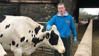 Farmers Weekly Apprentice