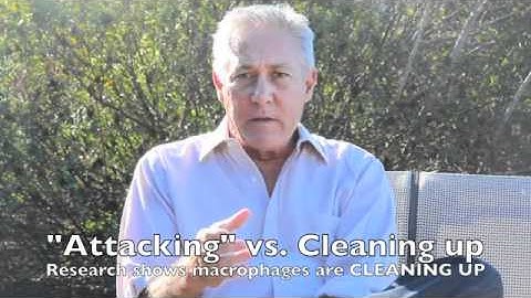 CCSVI - Multiple Sclerosis and the Immune System - David Hubbard MD - CCSVI