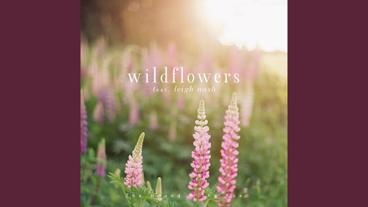 Wildflowers YouTube Music