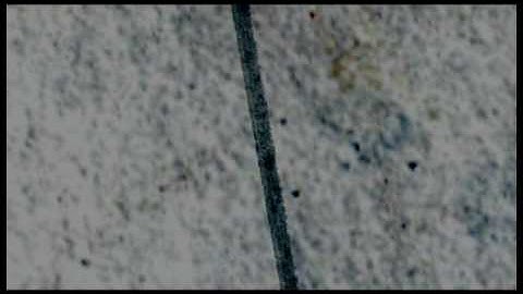 Adobe After Effects CS4 / Title Composing