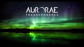 Travis Orbin - Aurorae Session - Transcendence