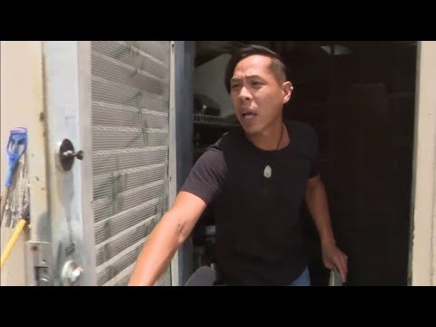 Inspector finds fly in container of orange chicken at South Florida restaurant