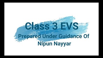 Class 3 | EVS | Visual Video | Prepared under Nipun Nayyar