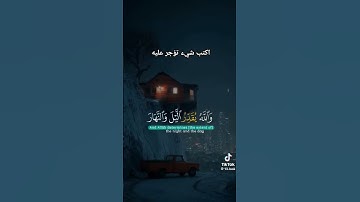 أرح سمعك _ قرآن كريم _ عامر السعيدي❤ #صوت_جميل 🤍 #quran