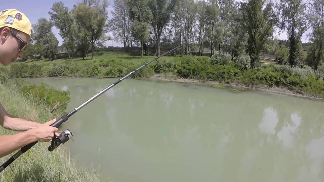 Pesca al siluro - YouTube
