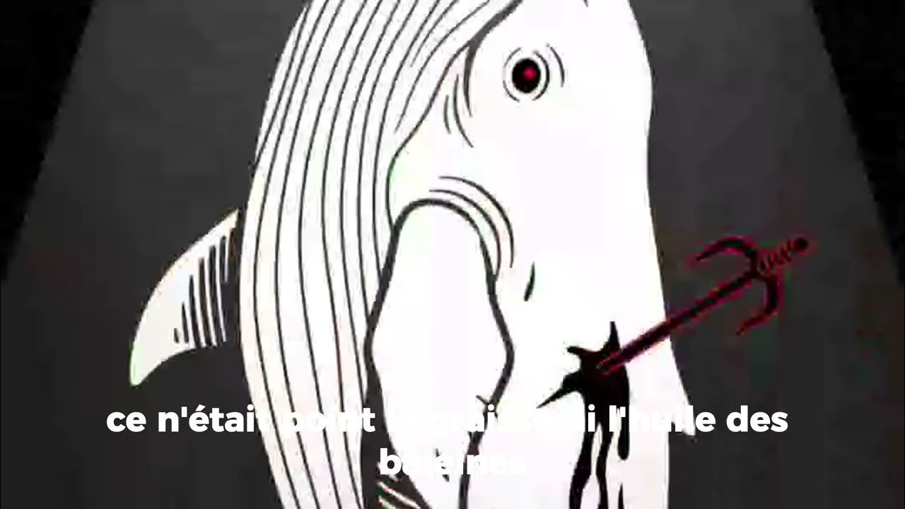 La chasse la plus folle de la littérature : Moby Dick résumé 