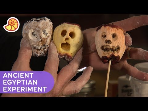 Make an Apple Mummy | Xploration DIY SCI