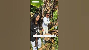 anh cần thủ đi xin chuối non của em gái nông thôn xin đẹp làm mồi câu cá và cái kết #fishing