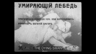 Умирающий лебедь (Евгений Бауэр. 1916 г.) Умирающий лебедь (Евгений Бауэр. 1916 г.)