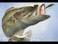 BLACK BASS ACTION con &quot;ABU GARCIA CARDSX20&quot;