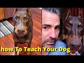 Easy Way How To Teach Dog Speak Or Bark When You Ask  |  How Train Dogs Get A Best Result | Ruby