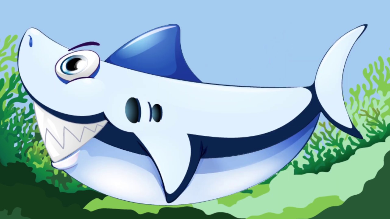 Dugong conservation methods