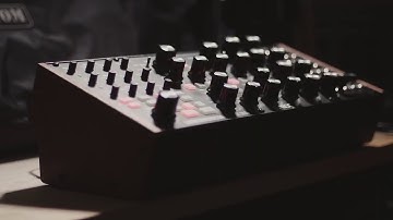 First Contact with the VERY INTRIGUING Moog Subharmonicon!