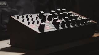 First Contact with the VERY INTRIGUING Moog Subharmonicon!