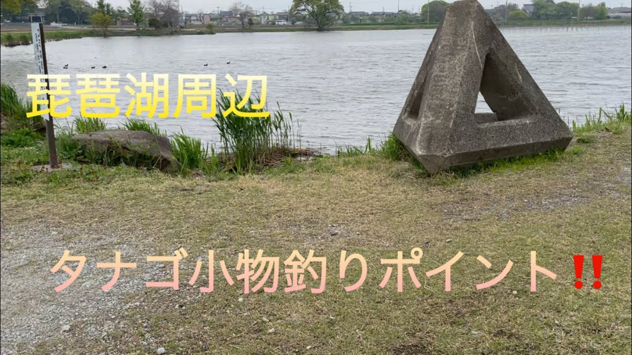 琵琶湖周辺タナゴ小物ポイント‼️