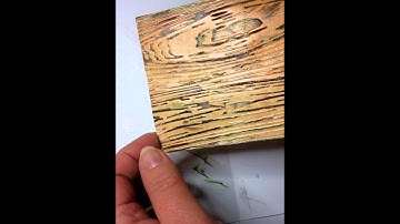 Embossing Techniques with Textures Wood Grain Embossing Folder - Claire Bears Crafts