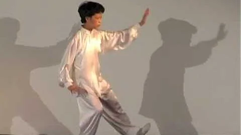 Taiji Quan Chen Style