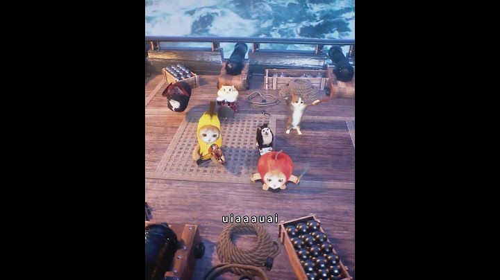 Cats on the Pirate Ship #funny #funnycats #oiiaoiia #happycats #bananacat