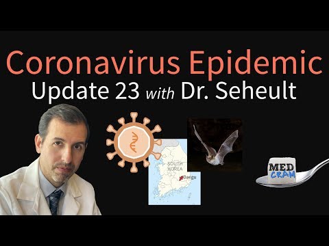 coronavirus-epidemic-update-23:-infections-in-kids-&-pregnancy,-south-korea,-spillover-from-bats