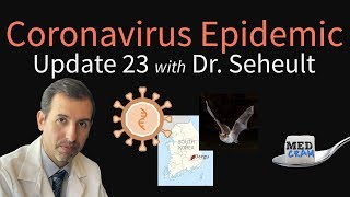 Coronavirus Epidemic Update 23: Infections in Kids \& Pregnancy, South Korea, Spillover From Bats