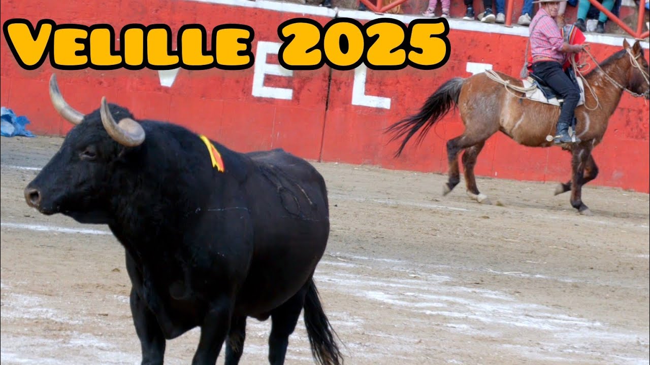Corrida de toros Velille chumbivilcas | video completo
