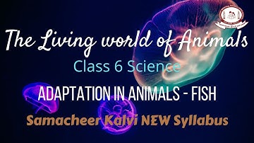 Class 6th Science | Unit 5 Living world of Animals (part 2) | TN Samacheer New Syllabus