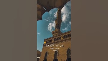 هو الذي انزل السكينة في قلوب المؤمنين | من سورة الفتح | عبدالرحمن مسعد❤🎧